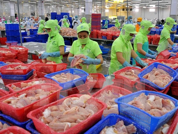 Tra fish sector sets sights on sustainable development hinh anh 1