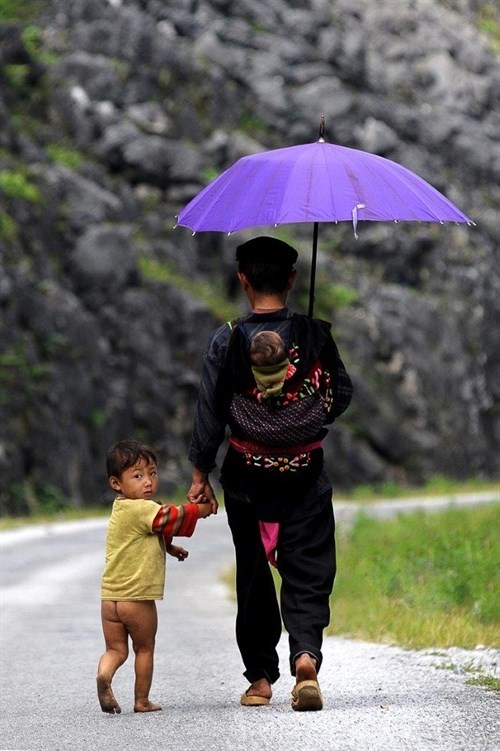 Photos honour Vietnamese dads hinh anh 1