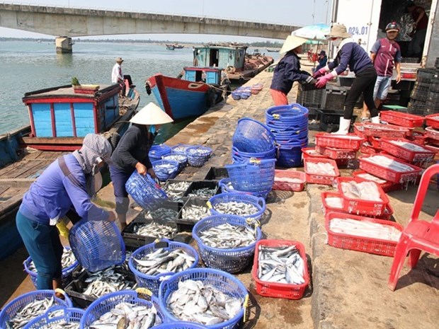 Central fishermen receive support following mass fish deaths hinh anh 1