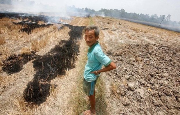 US continues to help Vietnam’s drought-hit provinces hinh anh 1