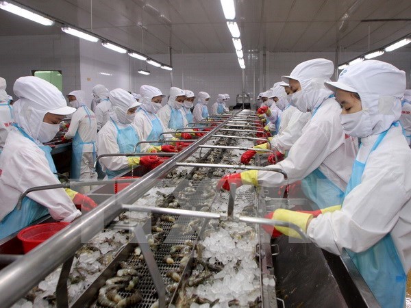 Shrimp export to US sees growth hinh anh 1