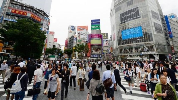 More Vietnamese people spend vacations in Japan hinh anh 1