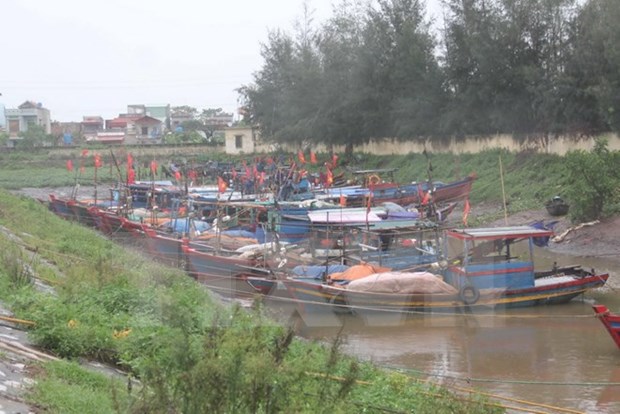 Storm Dianmu sweeps through northern mainland of Vietnam hinh anh 1