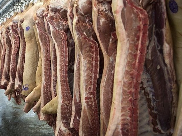 Russia to export pork to Vietnam in 2017 hinh anh 1
