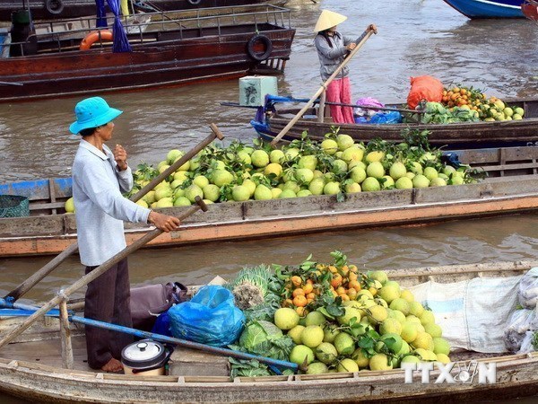 Domestic farm produce prices fluctuate hinh anh 1