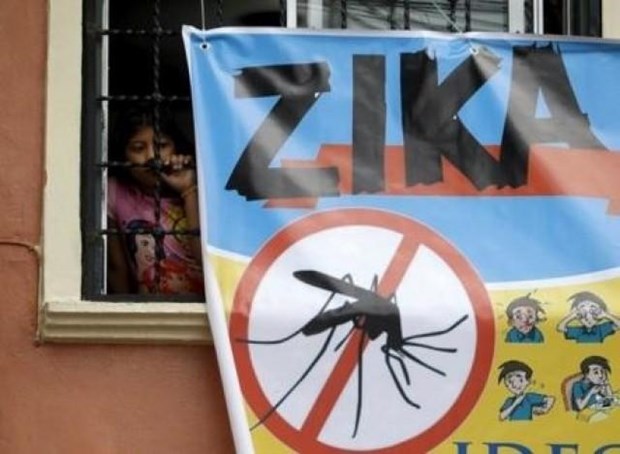 More cases of Zika virus found in Bangkok hinh anh 1