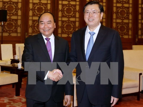 Prime Minister meets head of National People’s Congress of China hinh anh 1