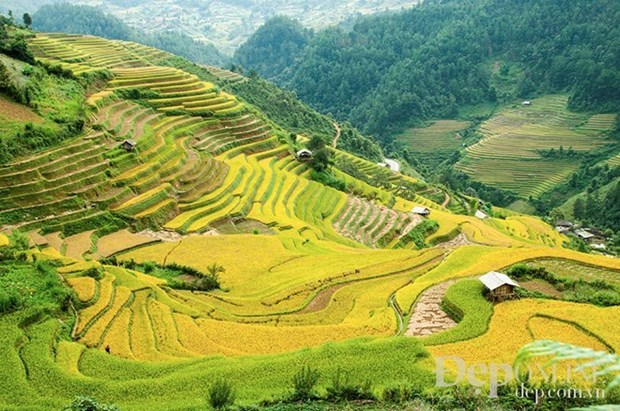 Vietnam, RoK cooperate to develop tourism hinh anh 1