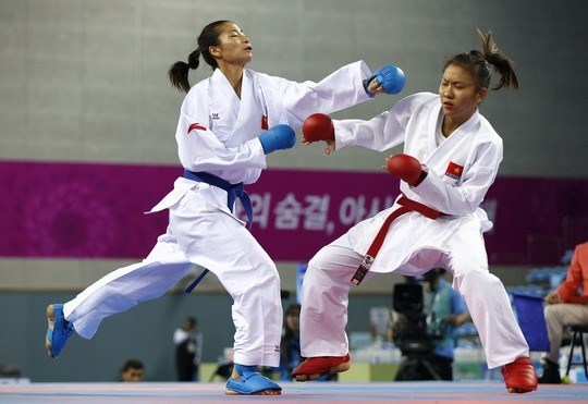 Vietnam participates in world karate champs hinh anh 1