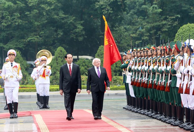 Irish President wishes to foster ties with Vietnam hinh anh 1