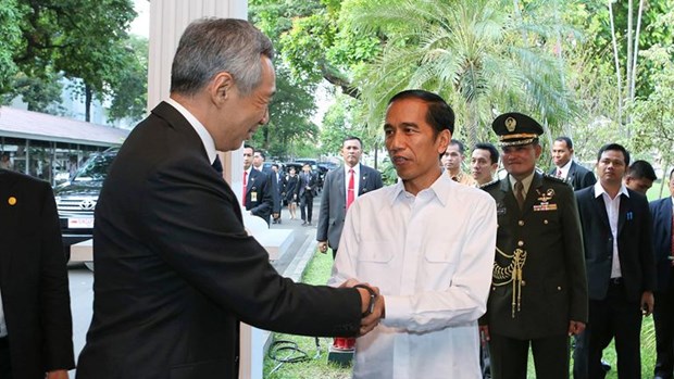 Singapore, Indonesia step up cooperation hinh anh 1