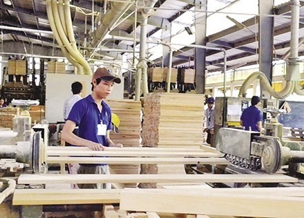 Wood consumption to rise by 10 percent hinh anh 1