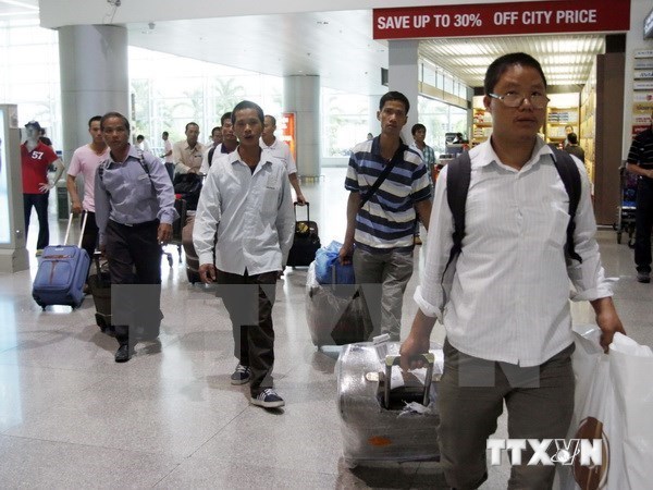 Czech Republic stops issuing work visas for Vietnamese labourers hinh anh 1
