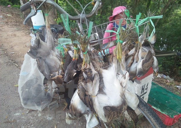 “Hell market” kills endangered animals hinh anh 2