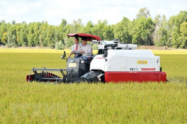EVFTA opens “big door” for Vietnamese rice to enter EU market hinh anh 1