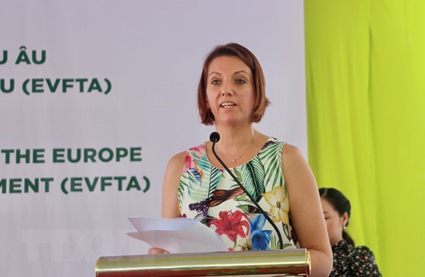 EVFTA opens “big door” for Vietnamese rice to enter EU market hinh anh 2