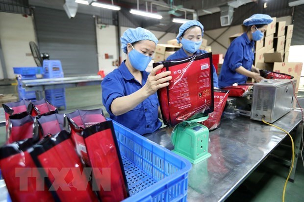Vietnam maintains stable exports to Israel in 2020 hinh anh 1