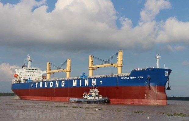 Modernisation plays key role for Vietnam’s shipping industry: Experts hinh anh 1