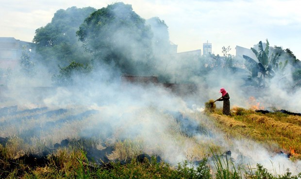 Vietnam builds database on GHG emissions at grassroots level hinh anh 2