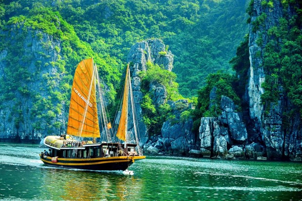 Exploring 11 world biosphere reserves in Vietnam hinh anh 9