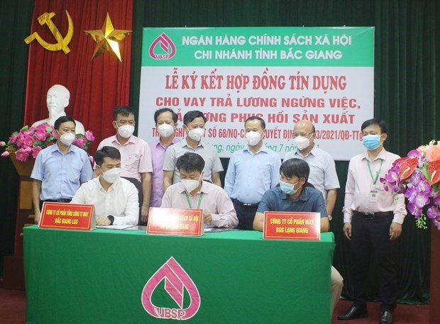 Social policy bank approves 45 billion VND in loans for salary payment hinh anh 2