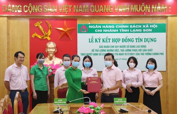 Social policy bank approves 45 billion VND in loans for salary payment hinh anh 1