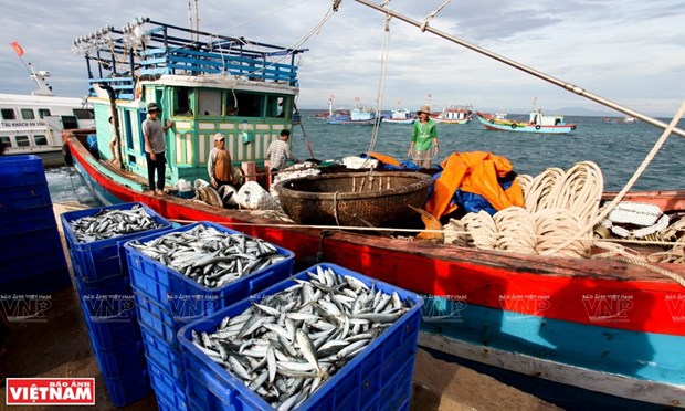 Vietnamese seafood sector to enjoy strong growth in 2021-2030: Report hinh anh 2