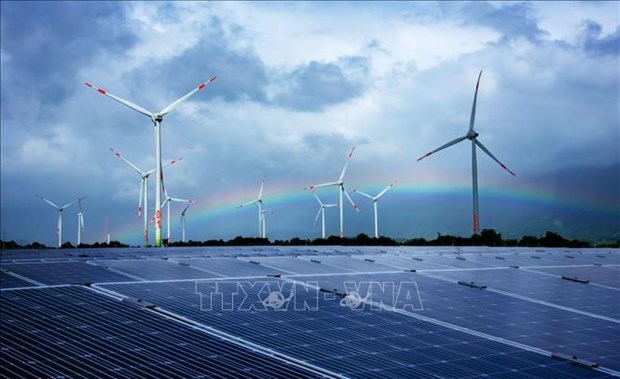 Ninh Thuan strives to become renewable energy hub hinh anh 2