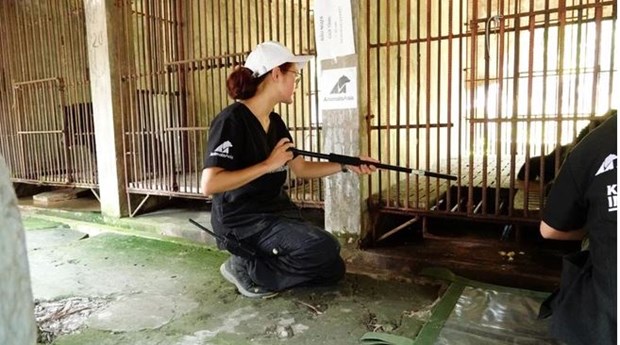 Vietnam bear rescue centre welcomes three black bears hinh anh 2
