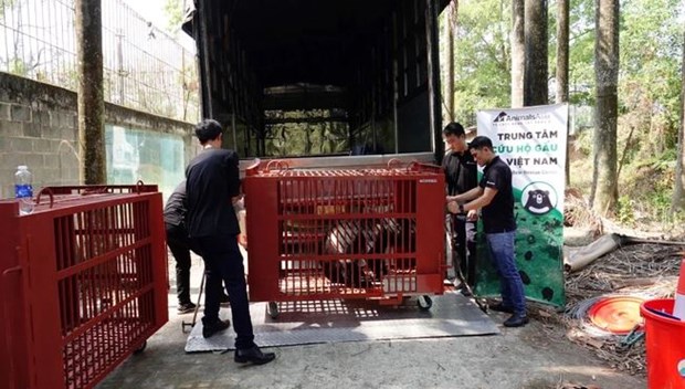 Vietnam bear rescue centre welcomes three black bears hinh anh 5