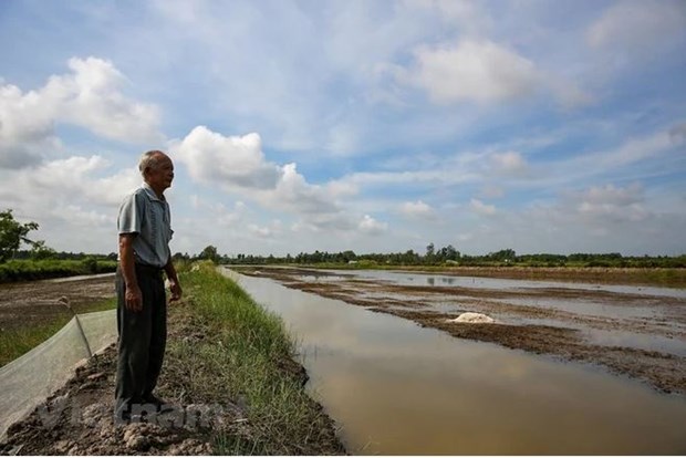 Mekong Delta faces serious challenges in water security ​ hinh anh 2