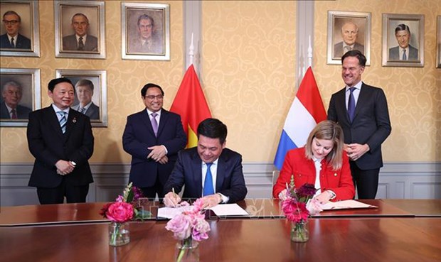 Promising future of Vietnam - Netherlands bilateral cooperation hinh anh 2