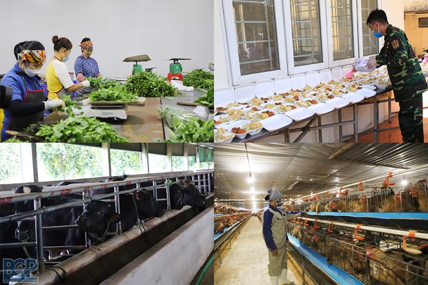 Bac Giang province expands food safety models hinh anh 1