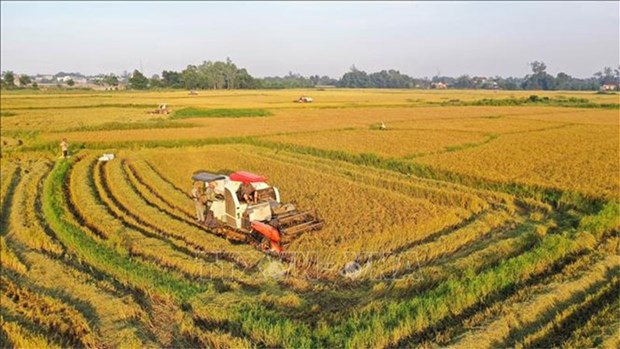 Hanoi strives to raise annual income for farmers to 70 million VND in 2023 hinh anh 2