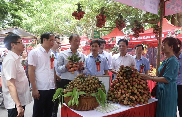 Hung Yen opens litchi fair 2023 hinh anh 1