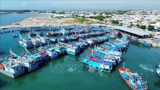 Ministry to tighten inspections at fishing ports hinh anh 1