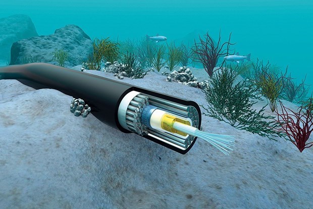 Repairs to Vietnam's two undersea cables to take weeks hinh anh 1