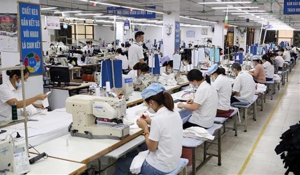 HCM City's labour market flexibly adapts to pandemic hinh anh 1