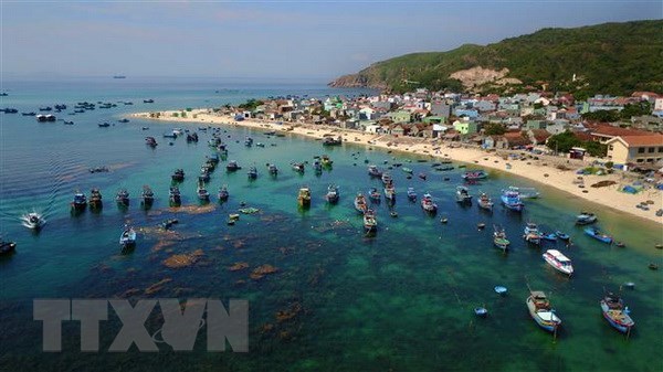 Vietnam promotes international cooperation, sustainable development of sea-born economy hinh anh 1