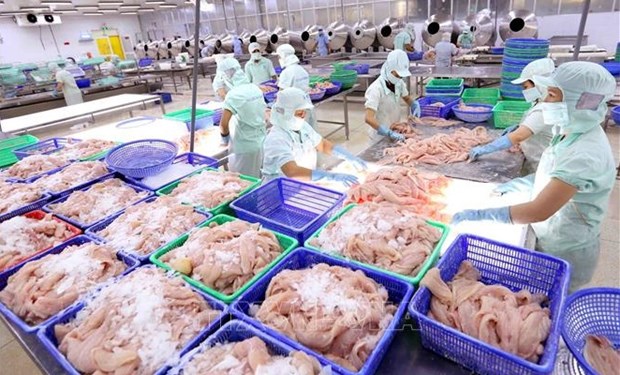 Aquatic exports likely to reach 3 billion USD in Q2 hinh anh 1