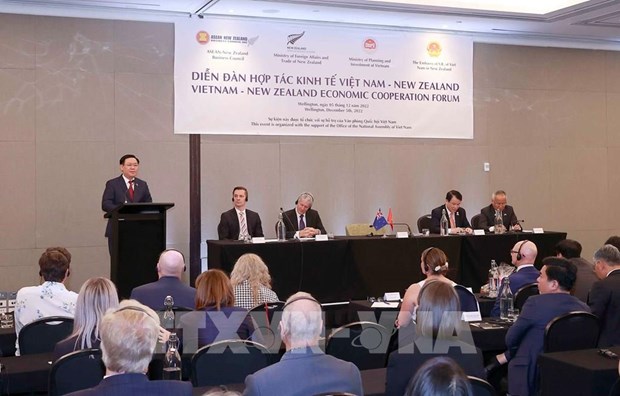 Approche commune - avantage pour les relations économiques et commerciales entre le Vietnam et la Nouvelle-Zélande : ambassadeur hinh anh 2