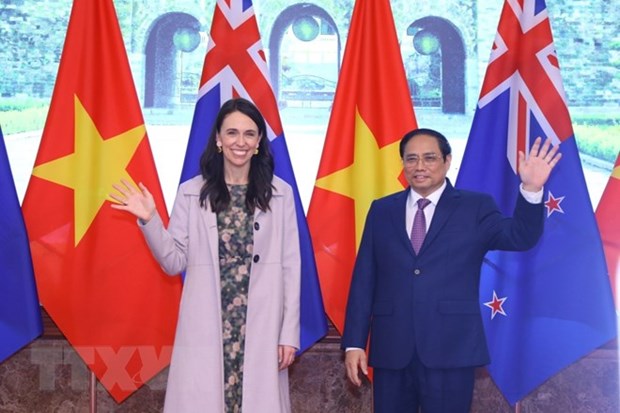 Approche commune - avantage pour les relations économiques et commerciales entre le Vietnam et la Nouvelle-Zélande : Ambassadeur hinh anh 3