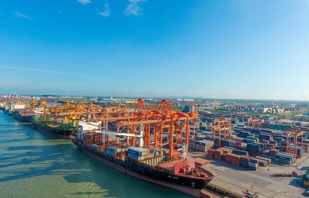 High sea freight rates hurting businesses hinh anh 1