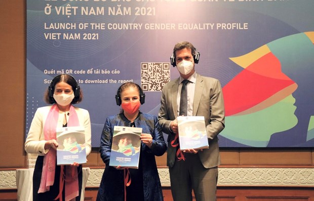 First overall report on gender equality in Vietnam released hinh anh 1