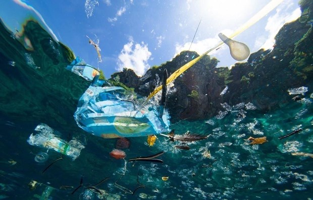 Changing consumption habits around plastics to protect the sea hinh anh 1