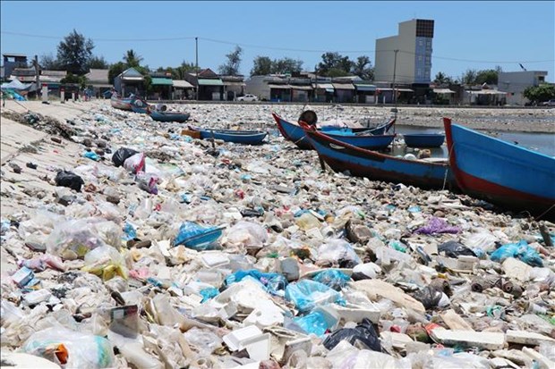 Women play crucial role in plastic waste reduction hinh anh 1