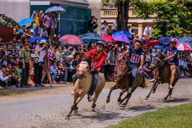 Bac Ha Winter Festival highlights unique culture of Mong ethnic minorities hinh anh 1