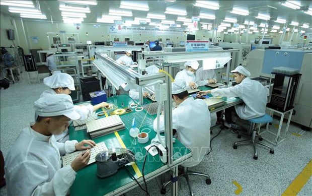 Vietnamese enterprises build resilience amid pandemic hinh anh 3