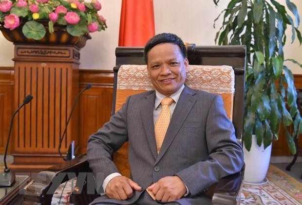 Vietnamese ambassador runs for re-election to International Law Commission hinh anh 1