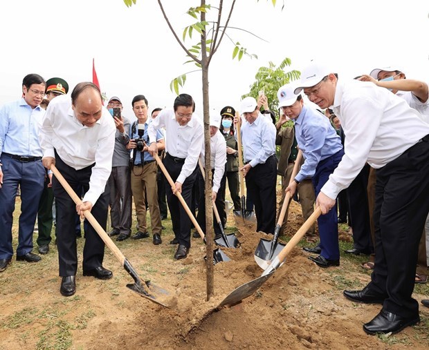 Planting trees to secure the future: Minister hinh anh 1